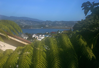 View_th.jpg